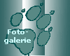 Foto-
galerie