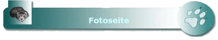 Fotoseite