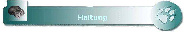 Haltung