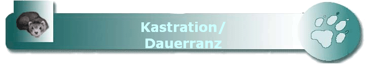 Kastration/
Dauerranz