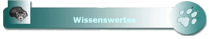 Wissenswertes